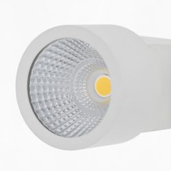 Citilux Дубль CL556100 Спот светодиодный поворотный Белый