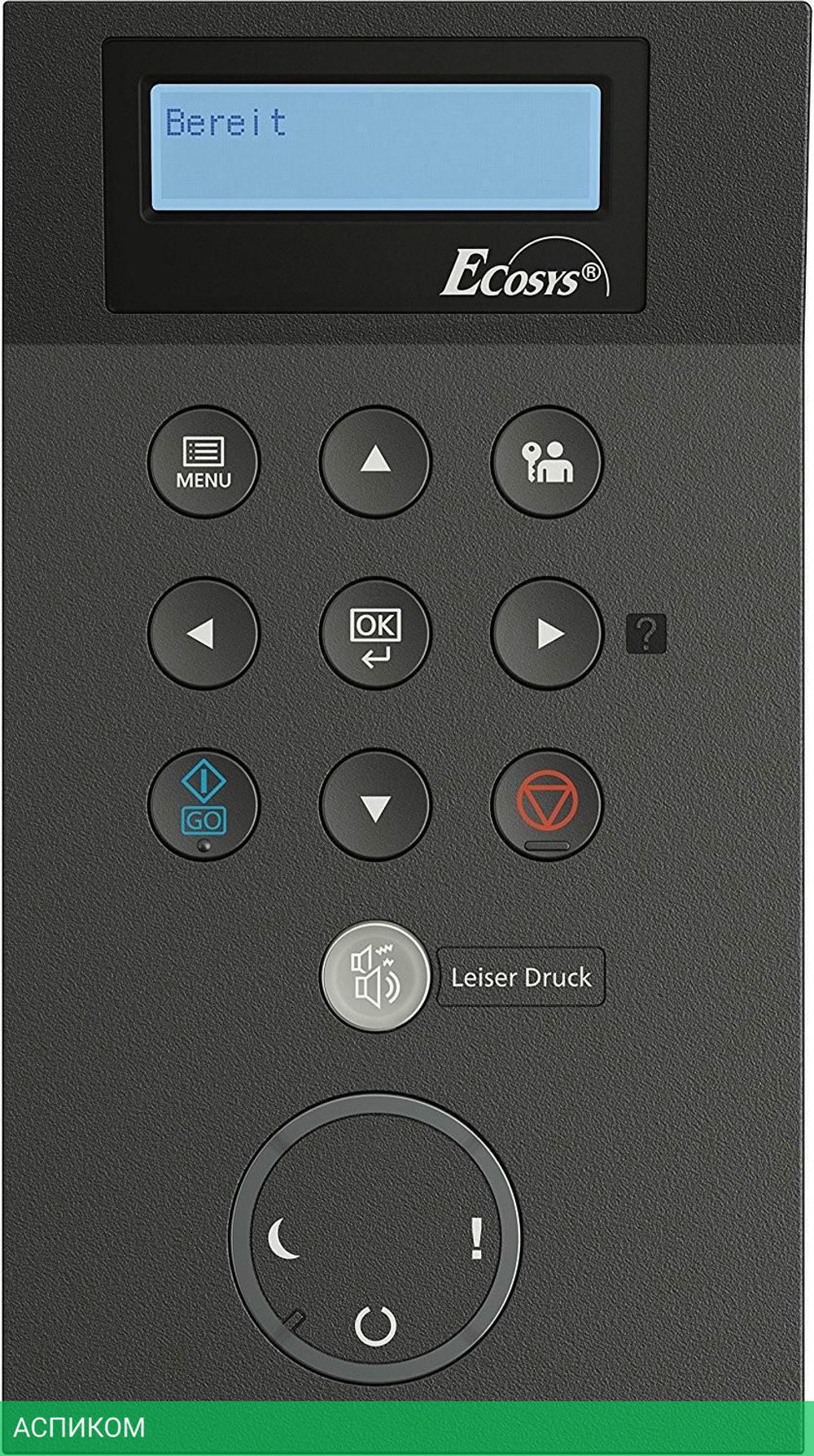 Принтер Kyocera Ecosys P2040DN (1102RX3NL0)