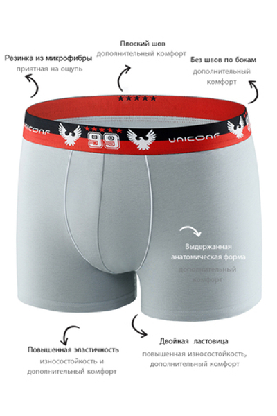 Мужские трусы BB12 Серый Uniconf