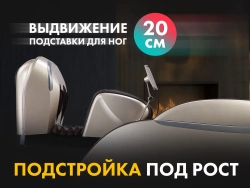 Массажное кресло Fujimo 氣 Guru2 F800 Коричневый