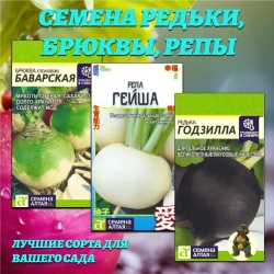 Набор семян корнеплодов: редька, брюква, репа