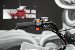 Квадроцикл SHARMAX Raizer Race Cup 250