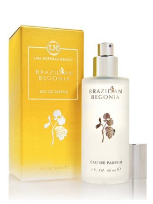 Lisa Hoffman Brazilian Begonia