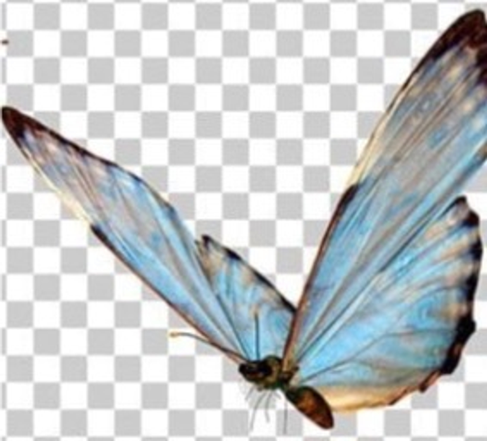 Товар с НЕ 0 стоимостью