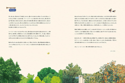To travel the four seasons of Korea with 2 cats