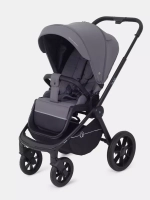 Коляска 2 в 1 Rant Flex 2025 RA076