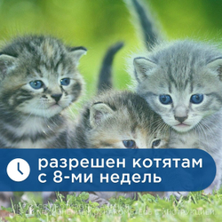 Капли на холку от клещей, блох, вшей и власоедов для кошек Фиприст Спот Он (KRKA), 3 пипетки Фипронил