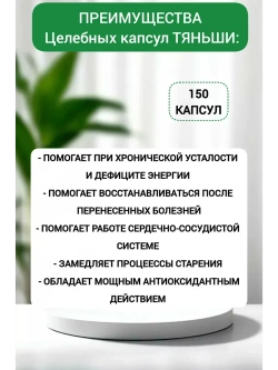 Целебные капсулы ТЯНЬШИ (Икан)