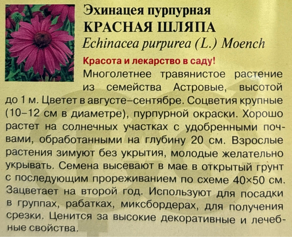Эхинацея Красная шляпа 0,1 г СМЦ-672