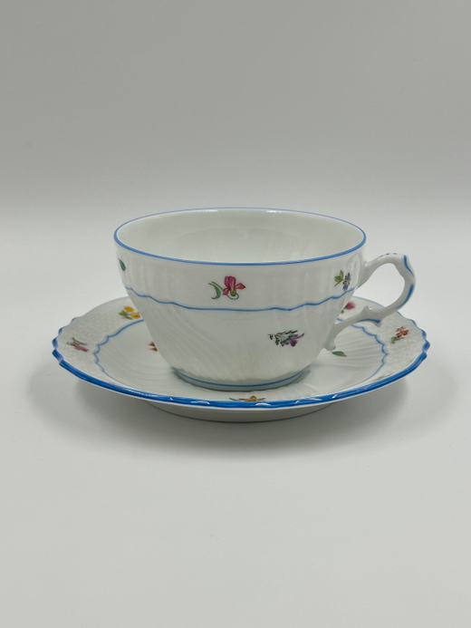 Чайная пара Richard Ginori