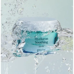 Goodal Ice Heartleaf Hyaluron Soothing Cream 75ml