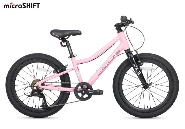 Maxiscoo 3BIKE 20'' L (2025)