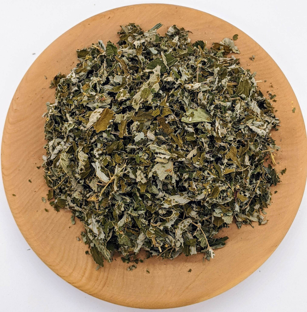 Лабазник вязолистный (Таволга)