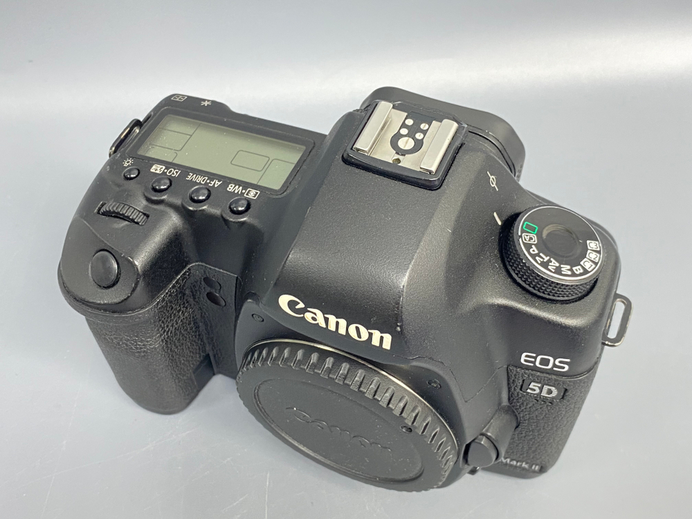 Canon EOS 5D Mark II