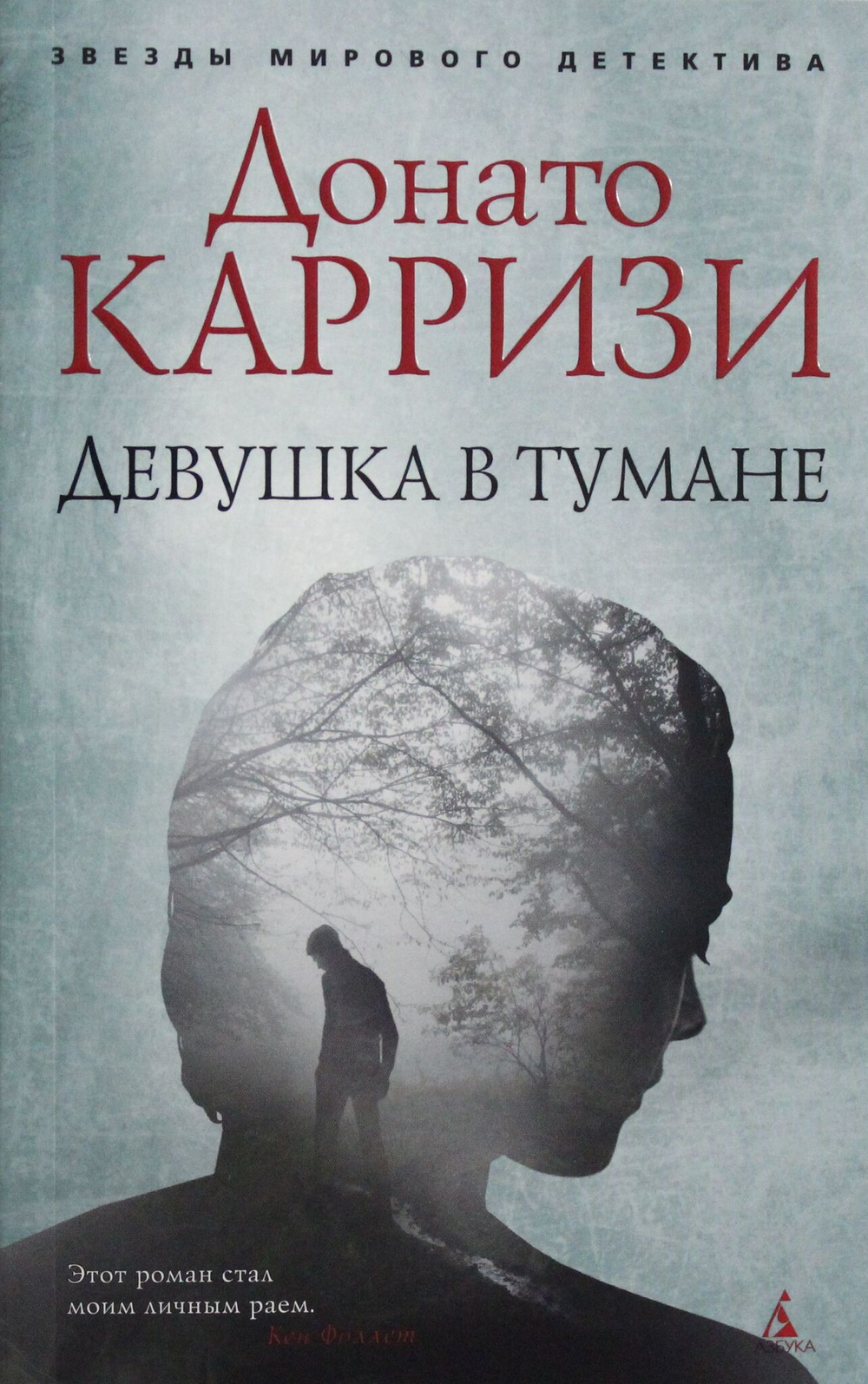 Девушка в тумане (мягк/обл.)