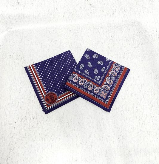 Мужские носовые платки, 2 шт.