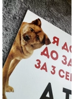 Табличка Злая собака