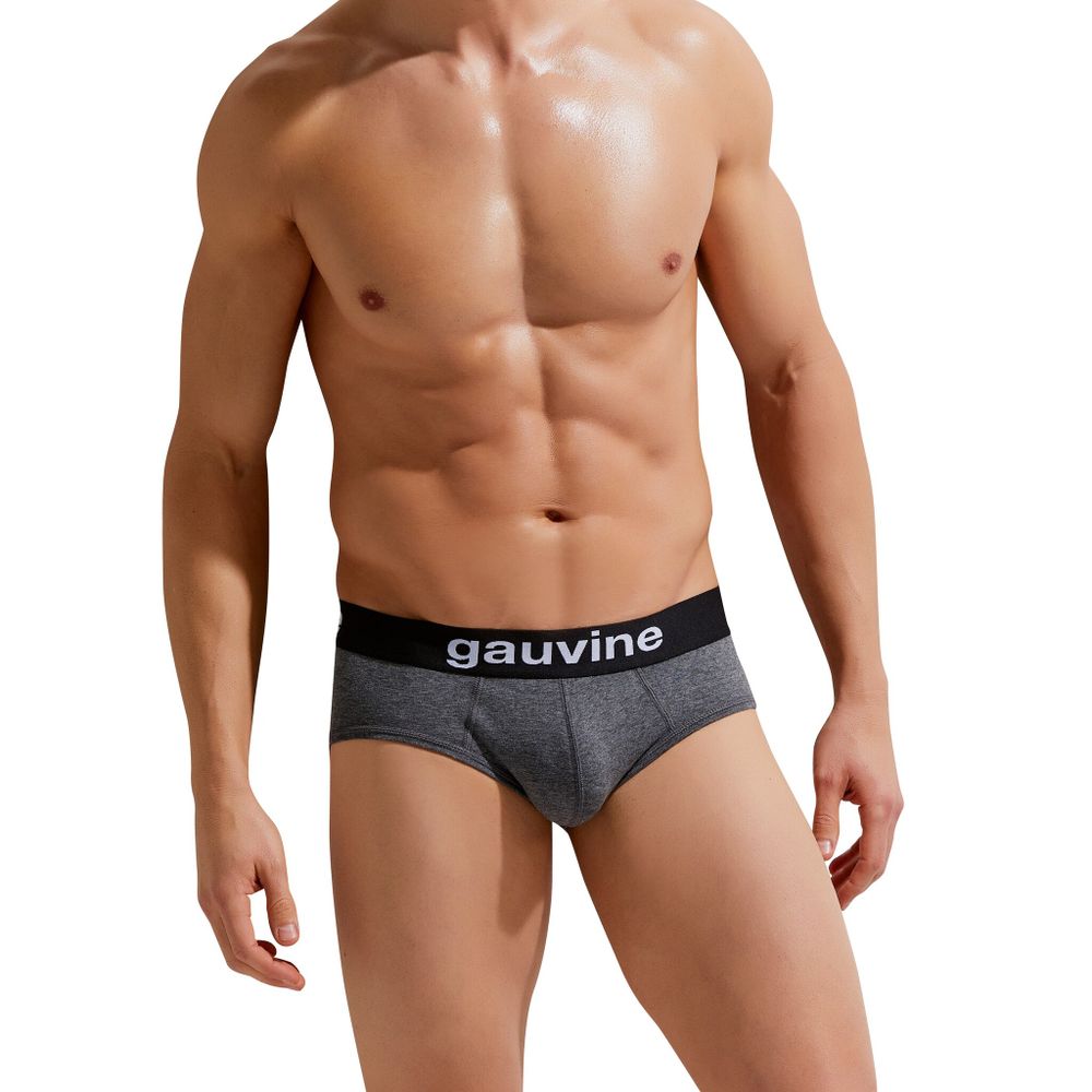Мужские трусы брифы темно-серые меланж GAUVINE 2006