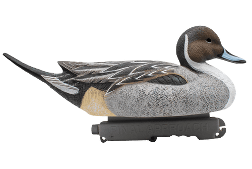 Шилохвость селезень "FA LIVE PINTAIL FLOATERS" (6 селезней)