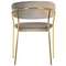 Стул Turin бежевый с золотыми ножками