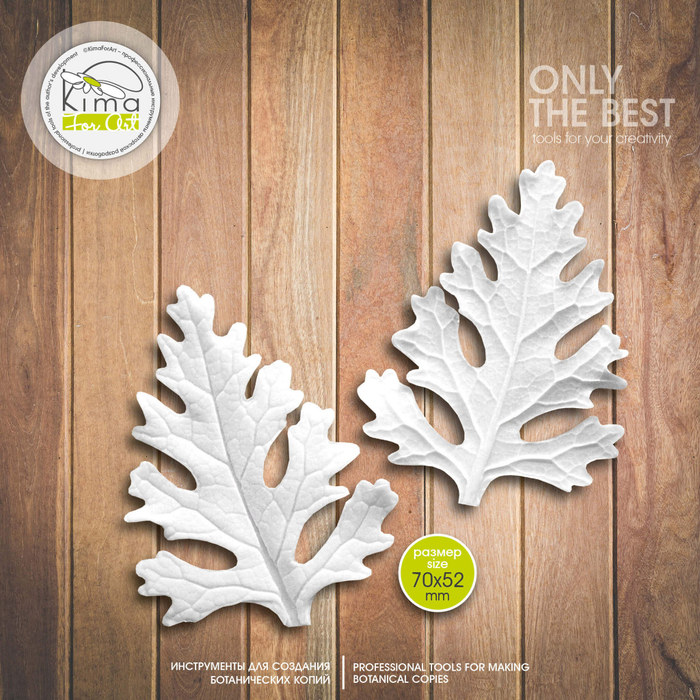 Цинерария лист большой