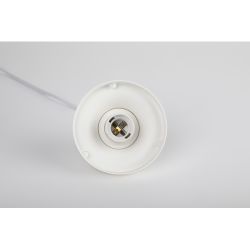 Cветильник потолочный ЭРА НСБ 01-60-251 шар опаловый подвесной на шнуре IP40 Е27 max 60 Вт d250mm | Подвесные светильники