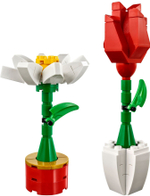 Конструктор LEGO 40187 Комнатные цветы