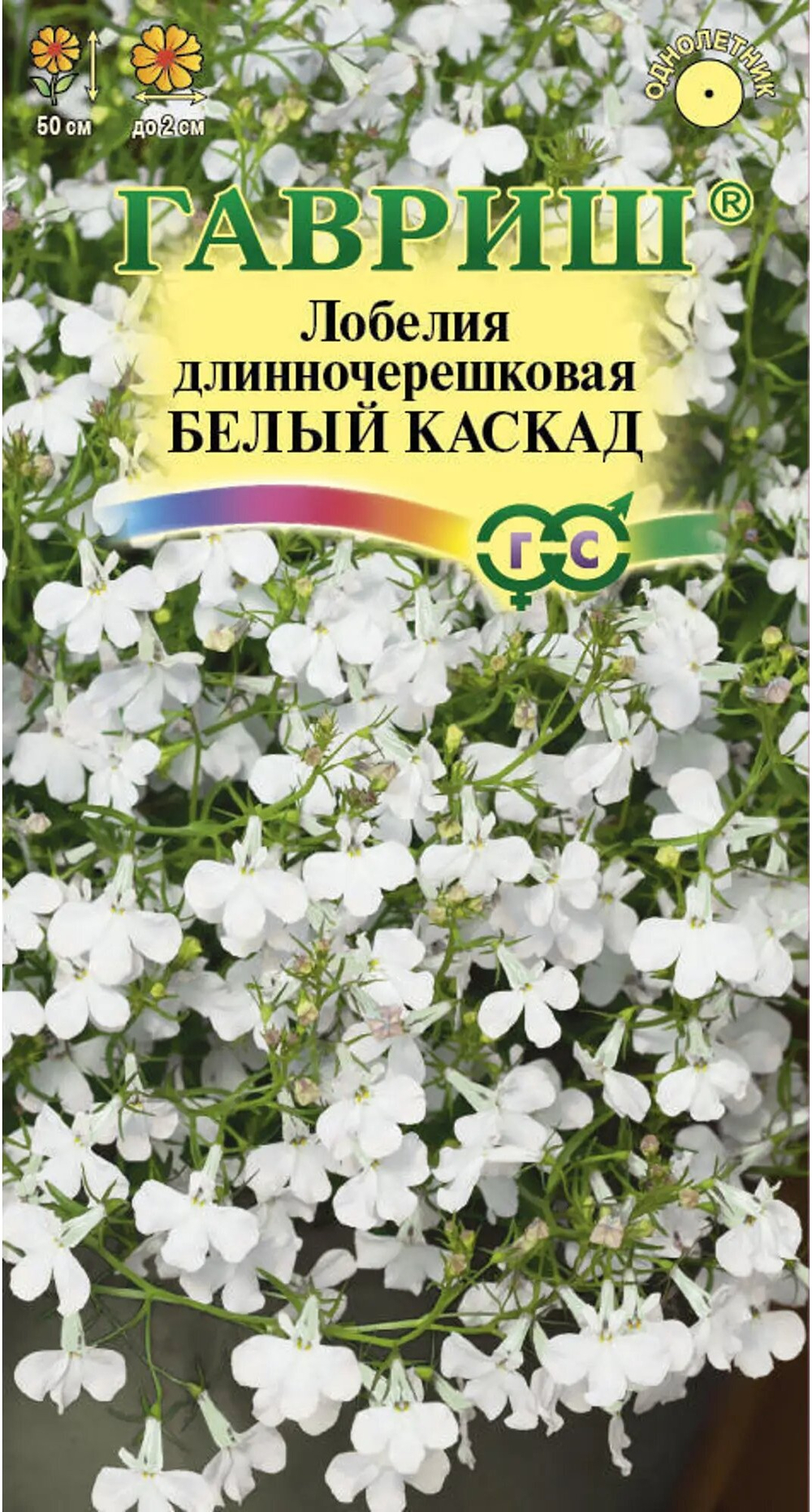каска