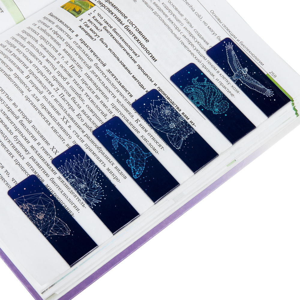 Закладки для книг МАГНИТНЫЕ "GALAXY" набор 12 шт. 60x20 мм BRAUBERG (4 штуки в упаковке)