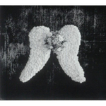 Depeche Mode / Memento Mori (Deluxe Edition)(CD)