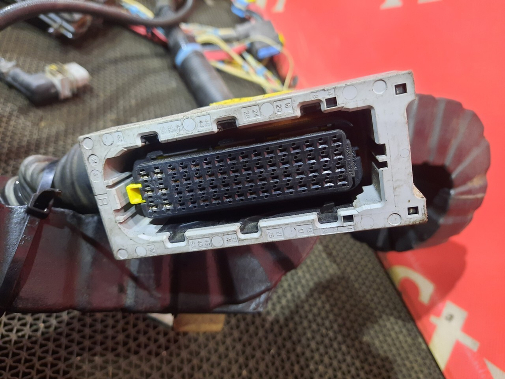 Проводка двигателя MX13 2019 год.