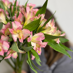 Букет с Альстромерией 15 штук