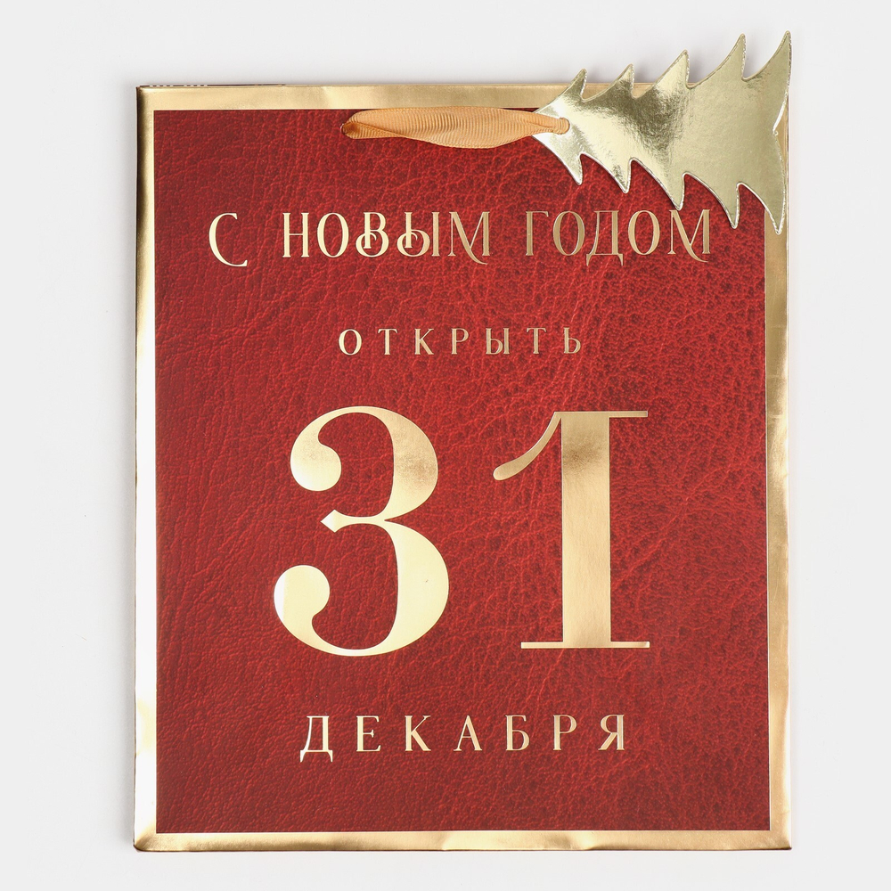 Пакет подарочный новогодний "С Новым Годом", 21,5*25*10см.