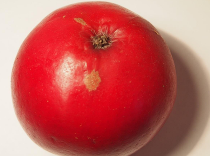 Яблоня традиционная красномясная (среднерослая 54-118, ММ 106) Бакран