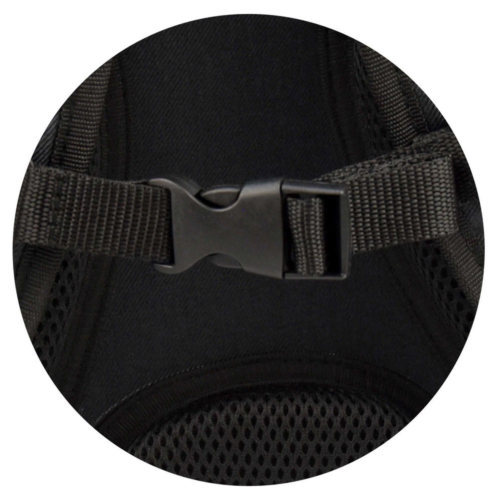 Рюкзак школьный, Феникс+, 30х40х14 см, полиэстер, металлические значки, резиновая нашивка, 1 отделение (-я)