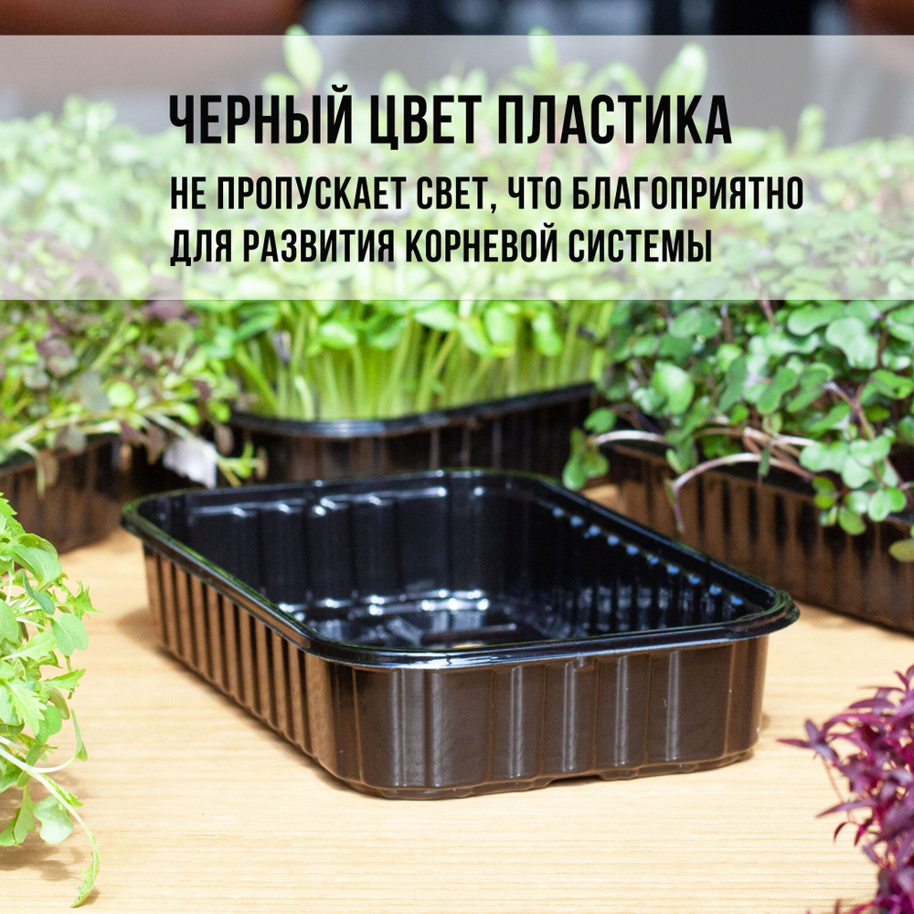Лоток для выращивания свежей микрозелени / 18*11*5,5 см / 100 шт.