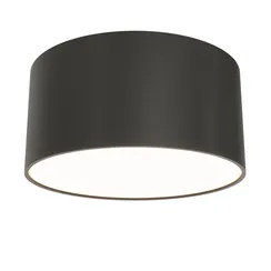 Потолочный светильник Technical C032CL-12W3K-RD-B