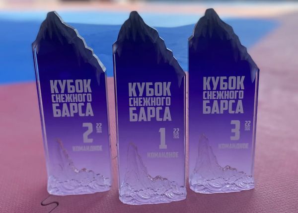 Региональные спортивные соревнования по тхэквондо ВТ "Кубок Снежного барса"