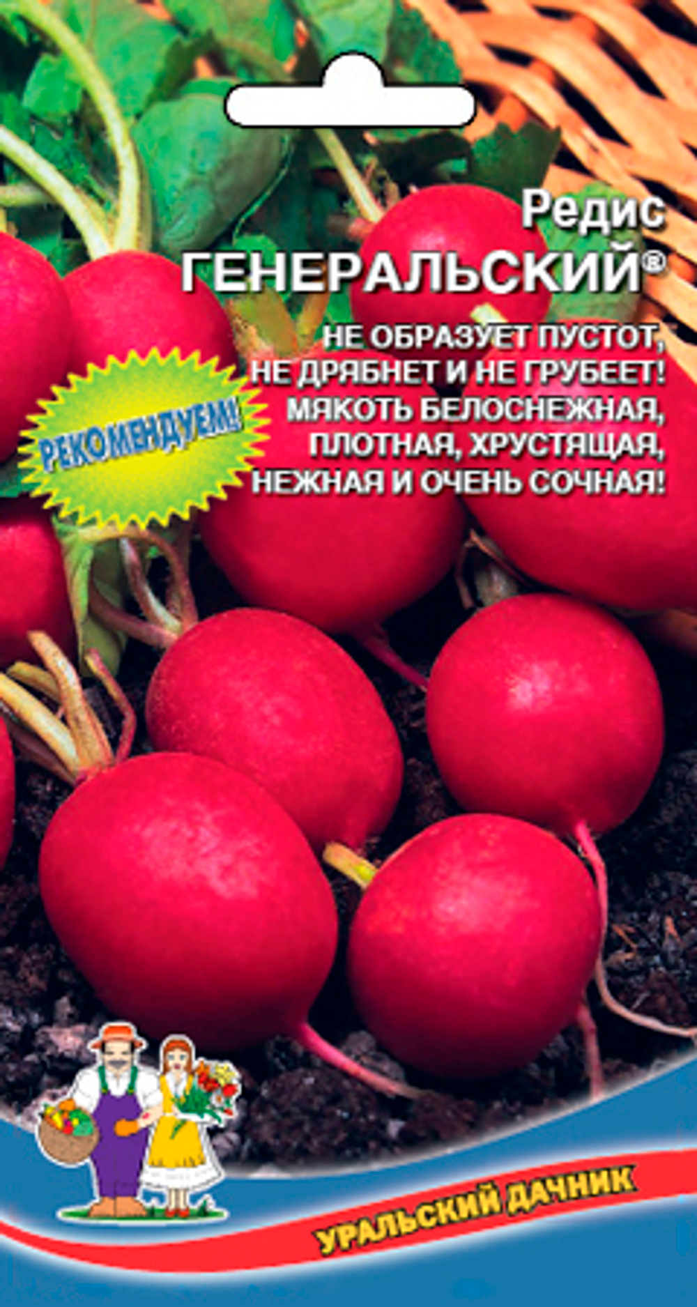 Редис Генеральский Уральский Дачник