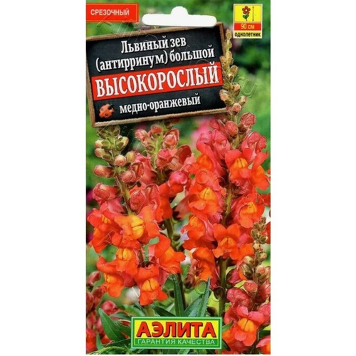 Львиный зев «Высокорослый», однолетник, медно-оранжевый