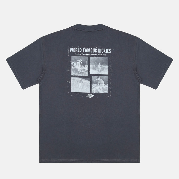 Футболка мужская Dickies Wolfhurst Short Sleeve Tee 