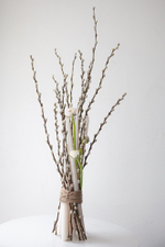 Светлая связка