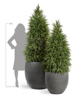Кашпо TREEZ Effectory Stone Большой округлый конус Тёмно-серый камень д-90 см, в-86 см 41.3319-01-026-GR-90
