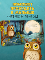 Книжки-картонки. Совушка в лесу. Первая книга малыша о природе