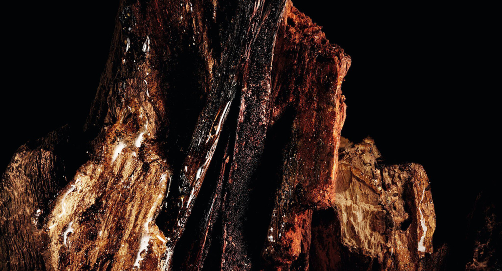 BOIS TALISMAN от DIOR