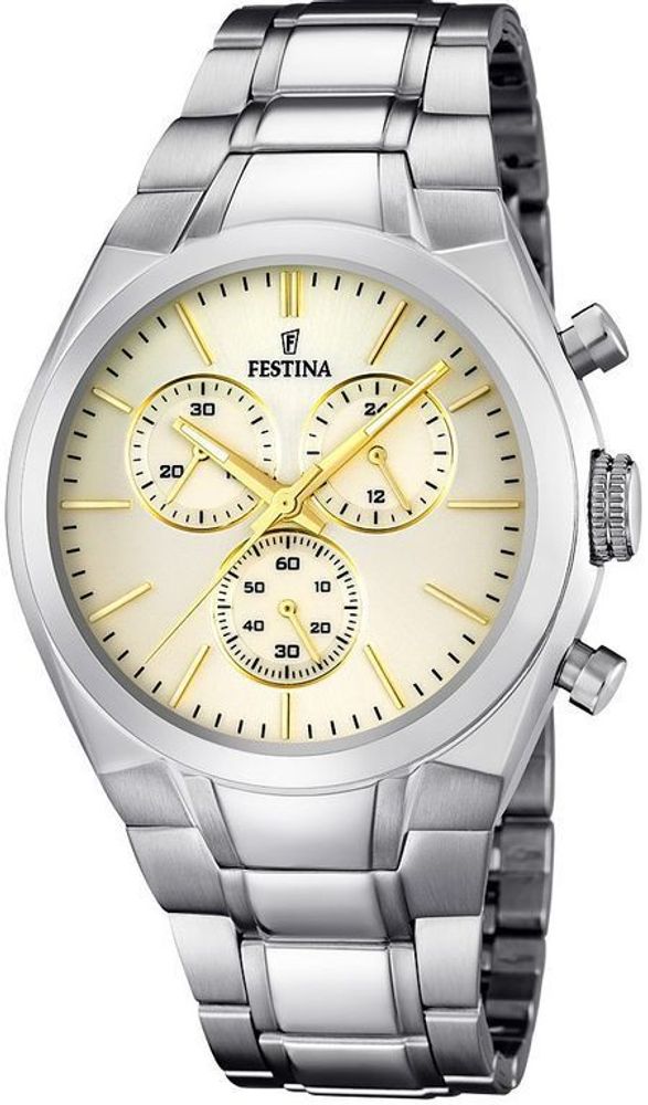 Мужские наручные часы Festina F16782/5