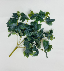 Куст смородина