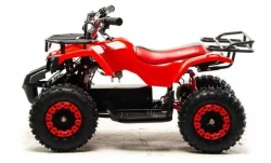 Электроквадроцикл Motoland ATV E008 800Вт