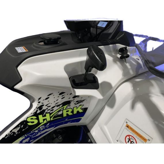 Квадроцикл MOTOLAND Shark 200