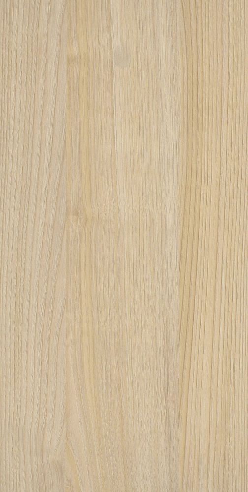 Каштан Асира